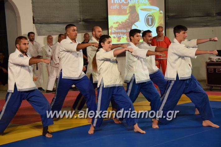 alexandriamou.gr_karate06162