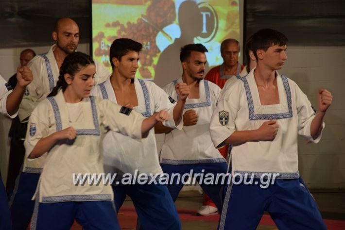 alexandriamou.gr_karate06163