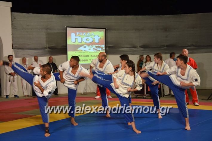 alexandriamou.gr_karate06164