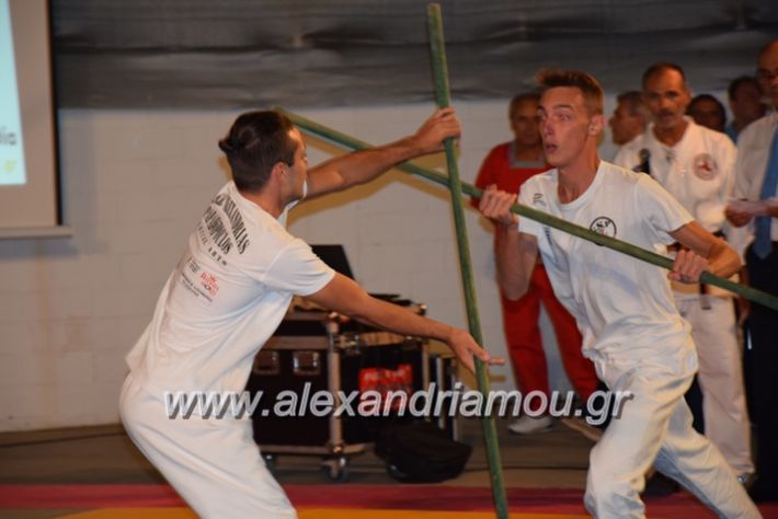 alexandriamou.gr_karate06171