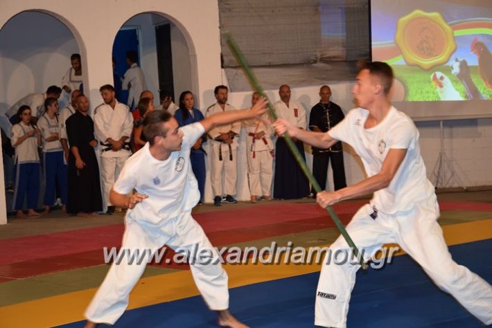 alexandriamou.gr_karate06173