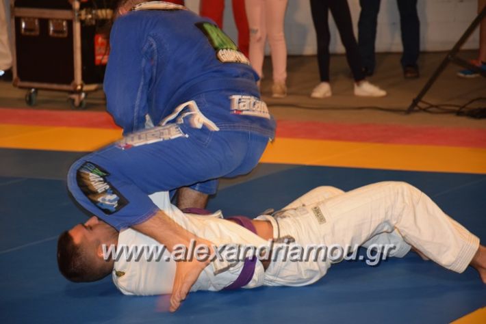 alexandriamou.gr_karate06188