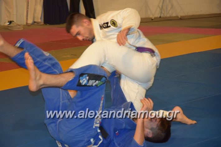 alexandriamou.gr_karate06191