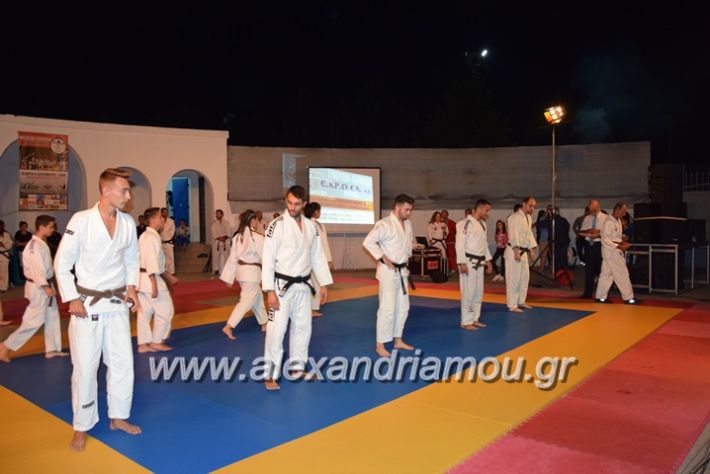 alexandriamou.gr_karate06192