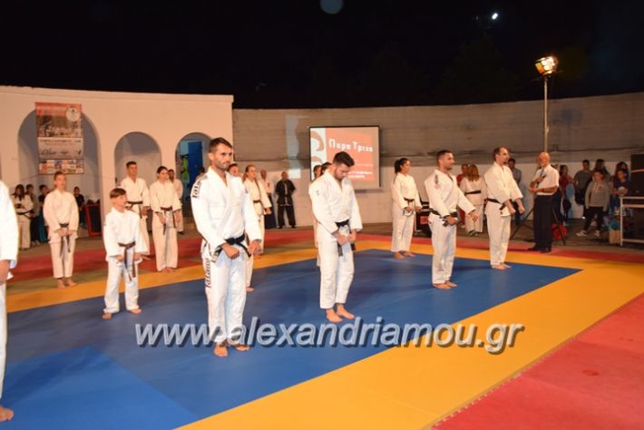 alexandriamou.gr_karate06197