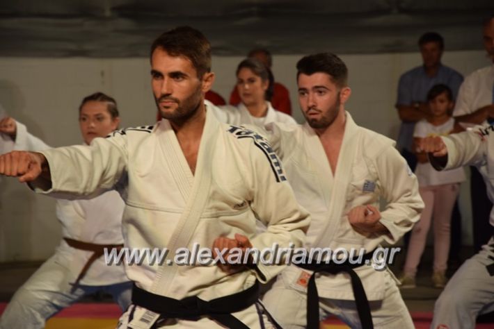 alexandriamou.gr_karate06199