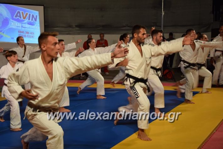 alexandriamou.gr_karate06200