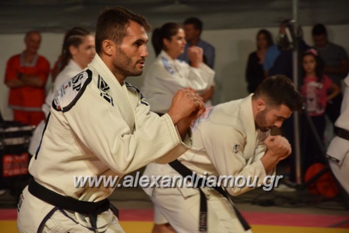 alexandriamou.gr_karate06201