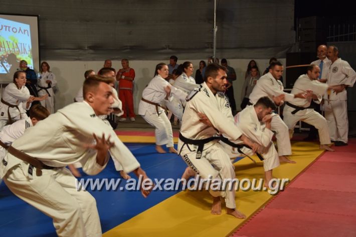 alexandriamou.gr_karate06202