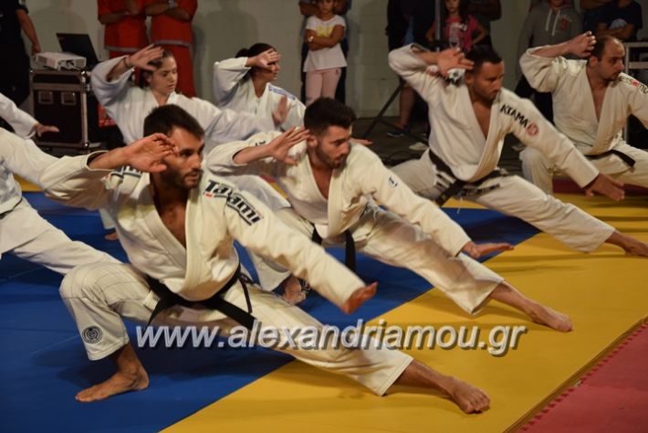 alexandriamou.gr_karate06203