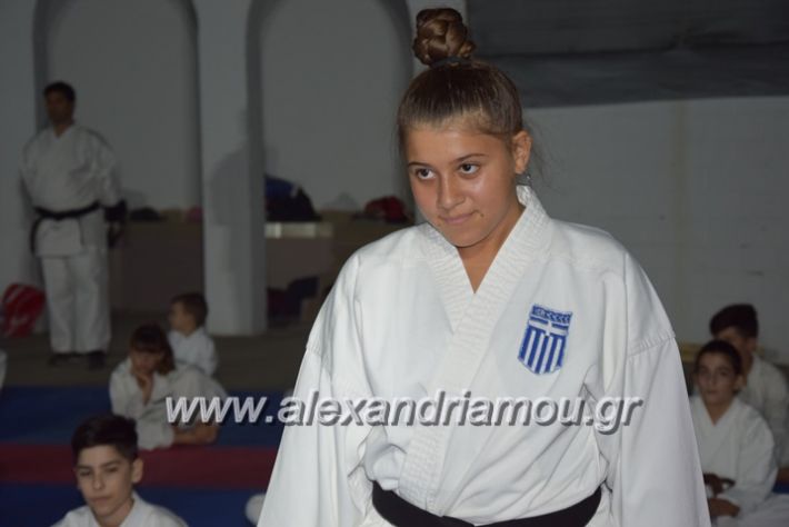 alexandriamou.gr_karatexanthopoulos13001