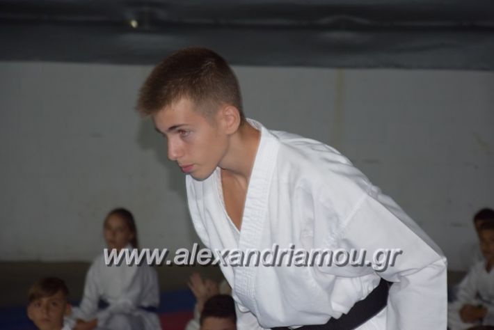 alexandriamou.gr_karatexanthopoulos13003