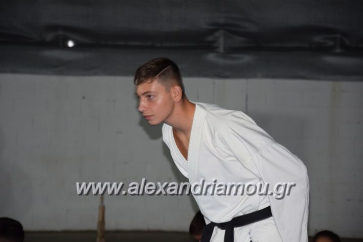 alexandriamou.gr_karatexanthopoulos13006