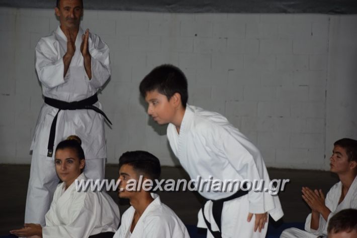 alexandriamou.gr_karatexanthopoulos13007
