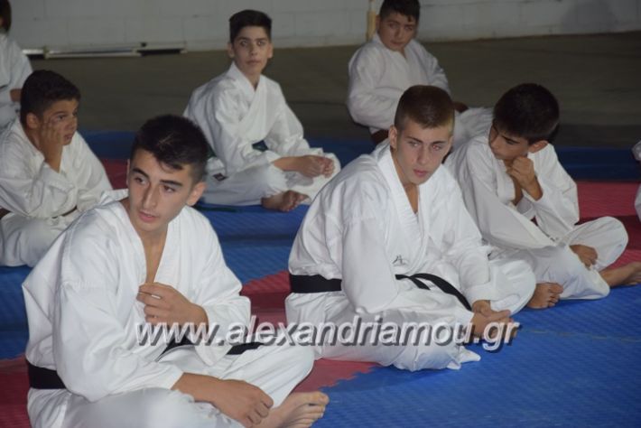 alexandriamou.gr_karatexanthopoulos13011