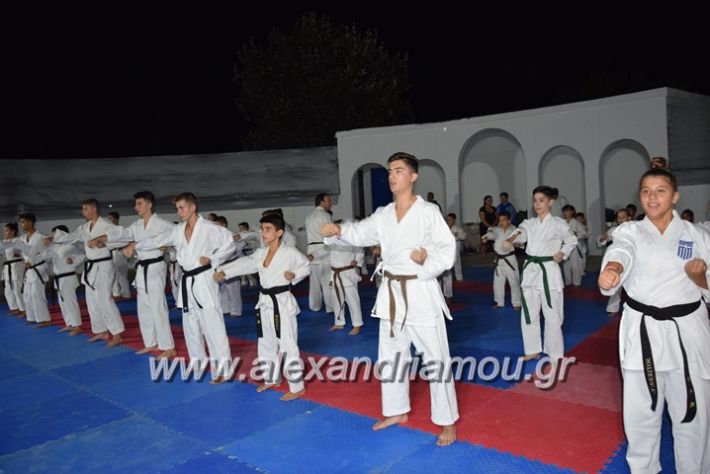 alexandriamou.gr_karatexanthopoulos13037
