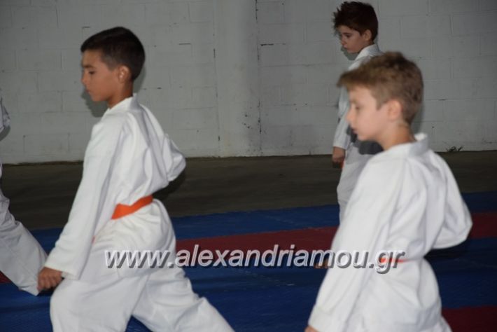alexandriamou.gr_karatexanthopoulos13039
