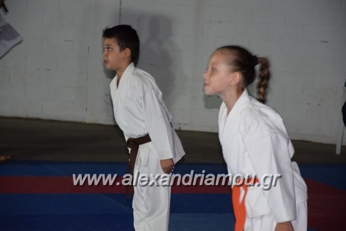 alexandriamou.gr_karatexanthopoulos13041