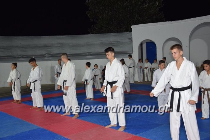 alexandriamou.gr_karatexanthopoulos13049
