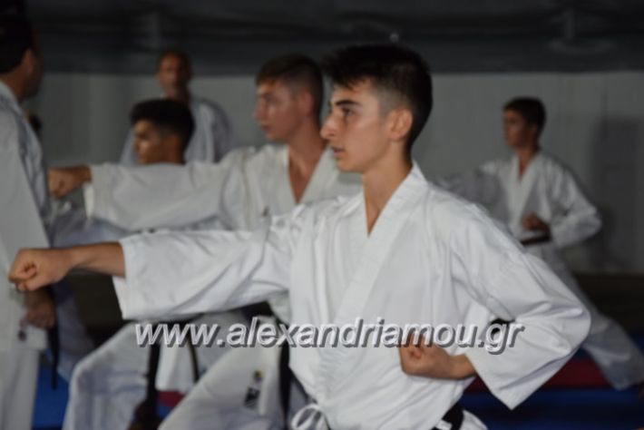 alexandriamou.gr_karatexanthopoulos13054