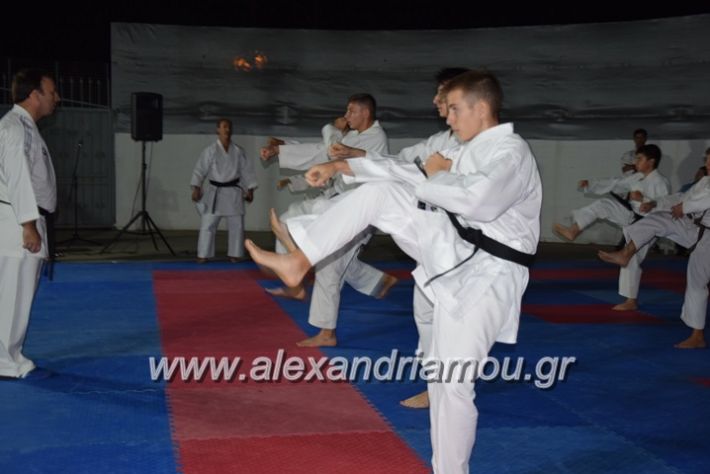 alexandriamou.gr_karatexanthopoulos13059