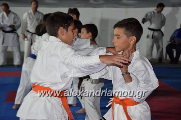alexandriamou.gr_karatexanthopoulos13061