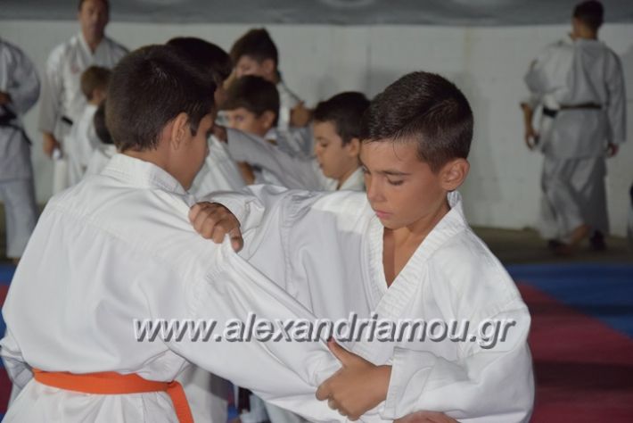 alexandriamou.gr_karatexanthopoulos13062