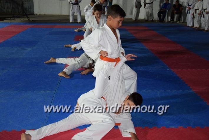 alexandriamou.gr_karatexanthopoulos13063