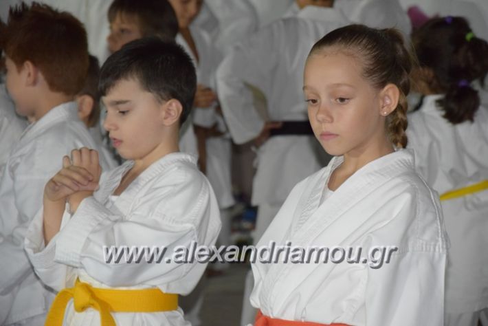 alexandriamou.gr_karatexanthopoulos13064