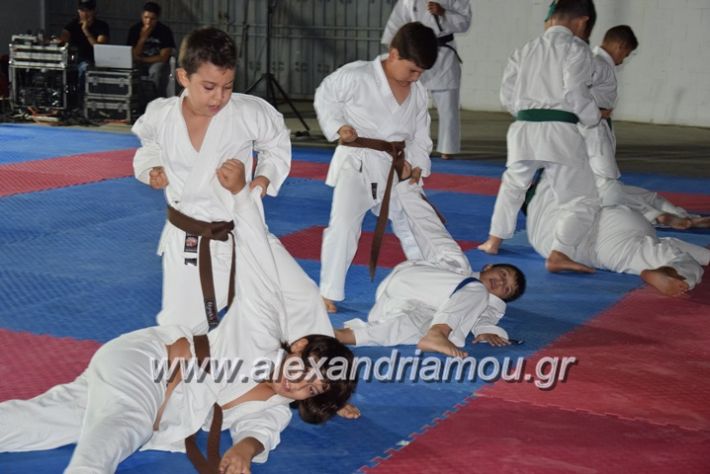 alexandriamou.gr_karatexanthopoulos13065