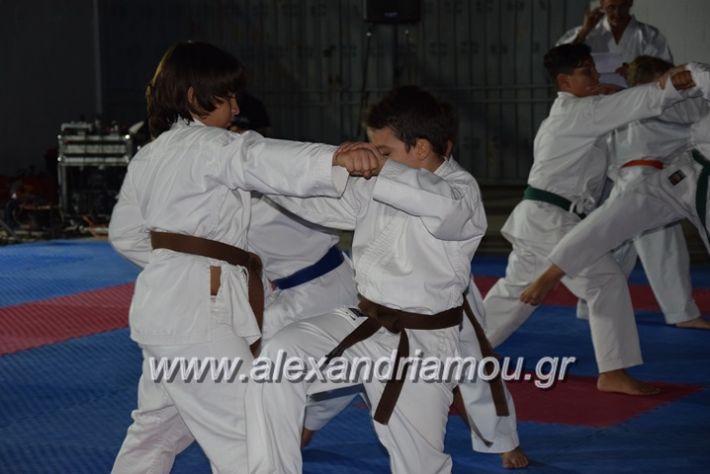 alexandriamou.gr_karatexanthopoulos13066