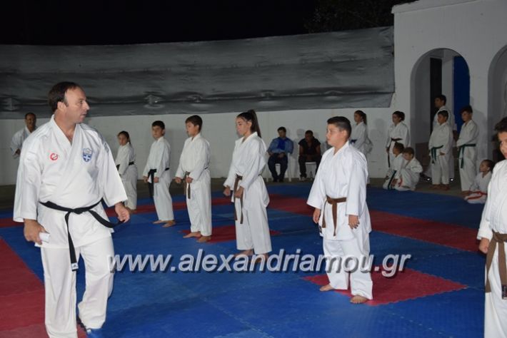 alexandriamou.gr_karatexanthopoulos13071