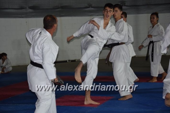 alexandriamou.gr_karatexanthopoulos13079