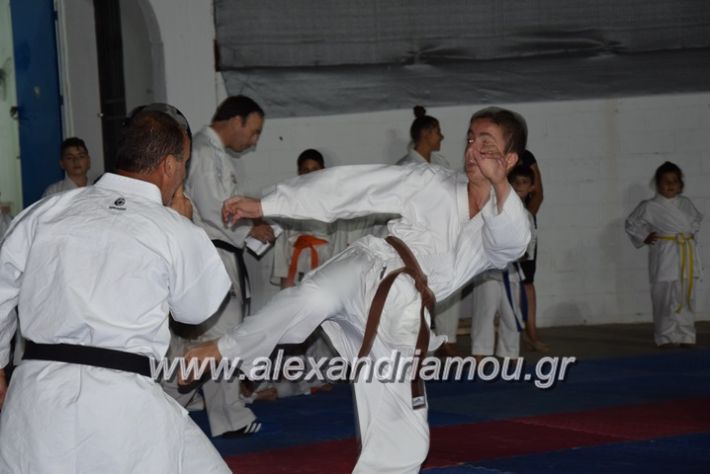 alexandriamou.gr_karatexanthopoulos13083