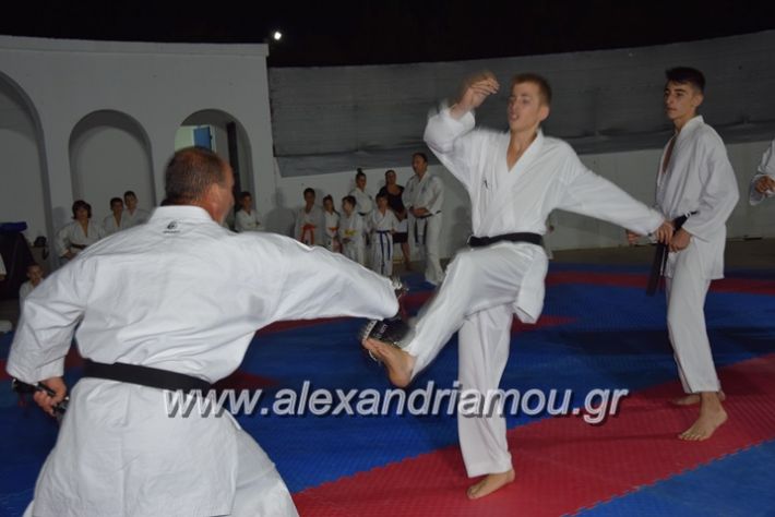 alexandriamou.gr_karatexanthopoulos13087