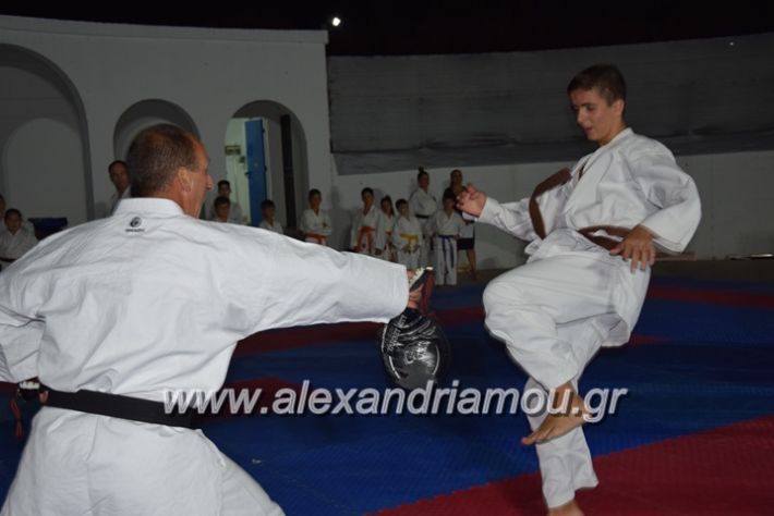 alexandriamou.gr_karatexanthopoulos13090