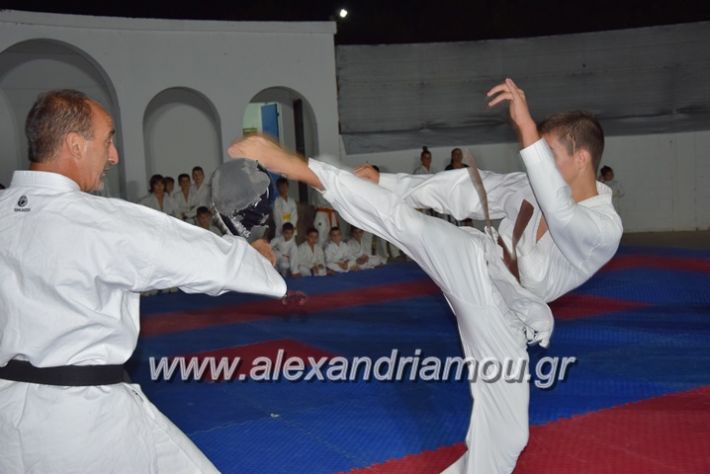 alexandriamou.gr_karatexanthopoulos13091