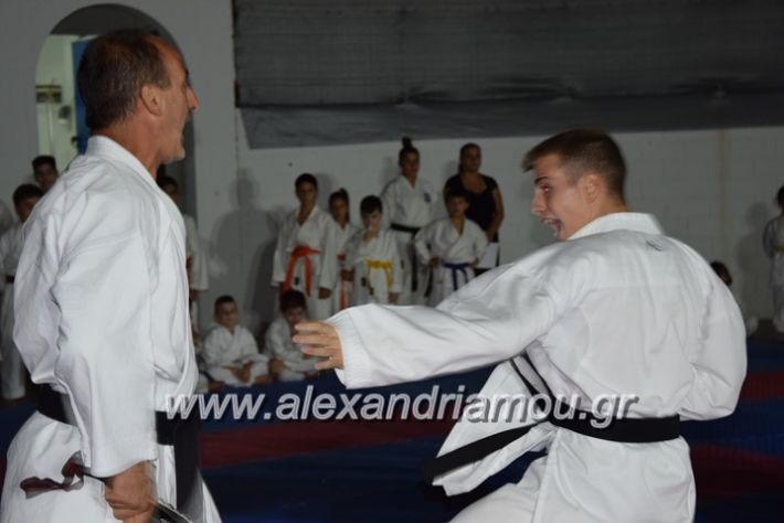 alexandriamou.gr_karatexanthopoulos13093