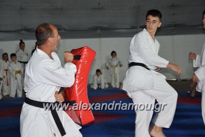 alexandriamou.gr_karatexanthopoulos13101