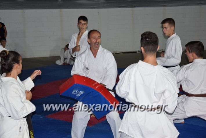 alexandriamou.gr_karatexanthopoulos13103