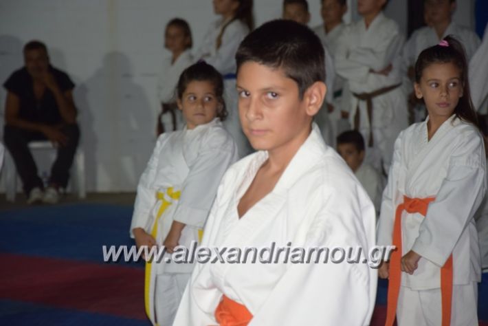 alexandriamou.gr_karatexanthopoulos13107