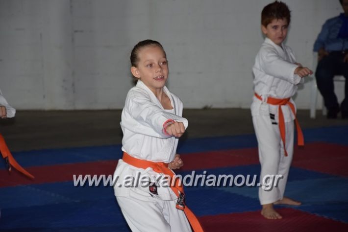 alexandriamou.gr_karatexanthopoulos13108