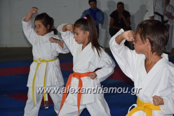 alexandriamou.gr_karatexanthopoulos13109