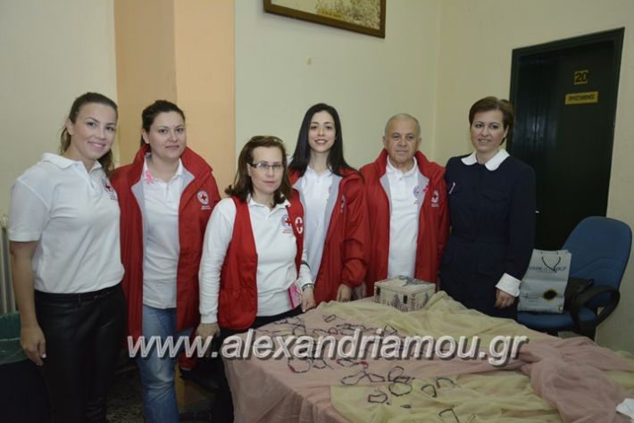 alexandriamou_karkinos_er.stauros11