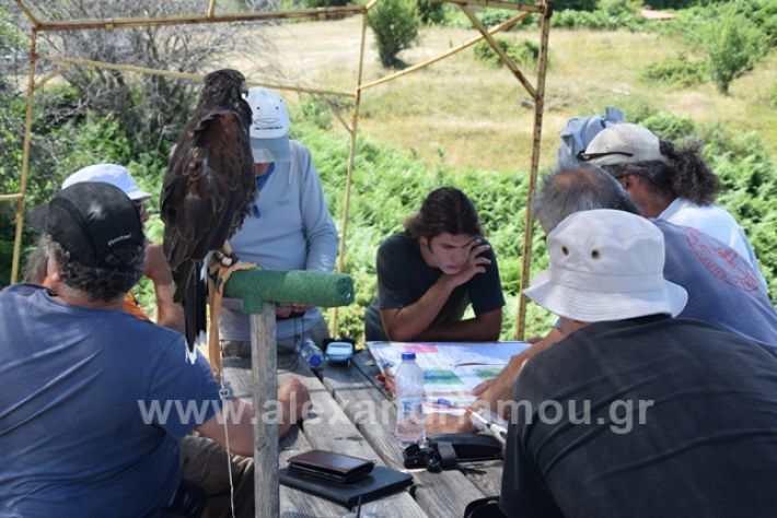 alexandriamou.gr_kastania20188DSC_0169