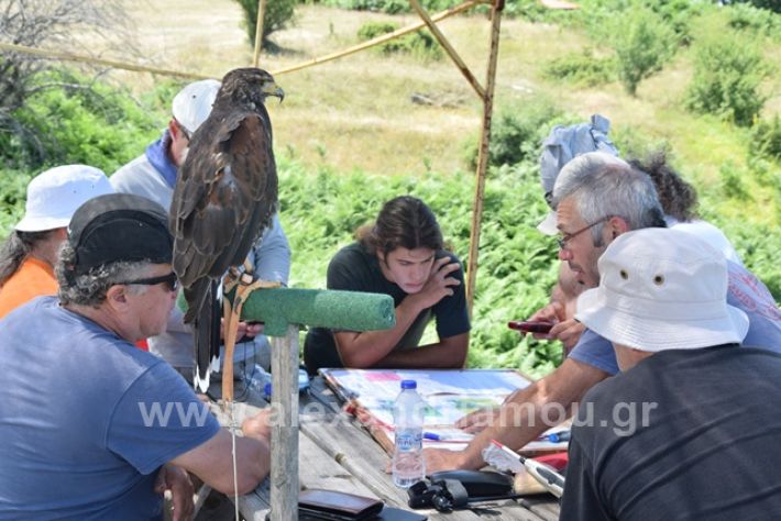 alexandriamou.gr_kastania20188DSC_0170