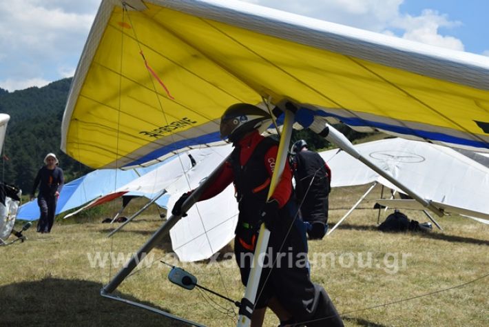 alexandriamou.gr_kastania20188DSC_0181