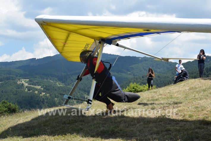 alexandriamou.gr_kastania20188DSC_0190