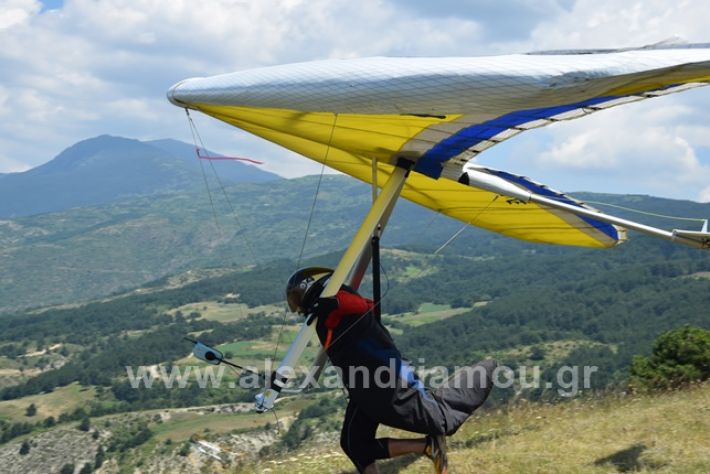 alexandriamou.gr_kastania20188DSC_0191