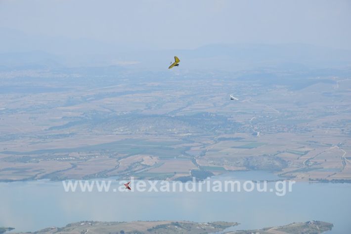 alexandriamou.gr_kastania20188DSC_0253